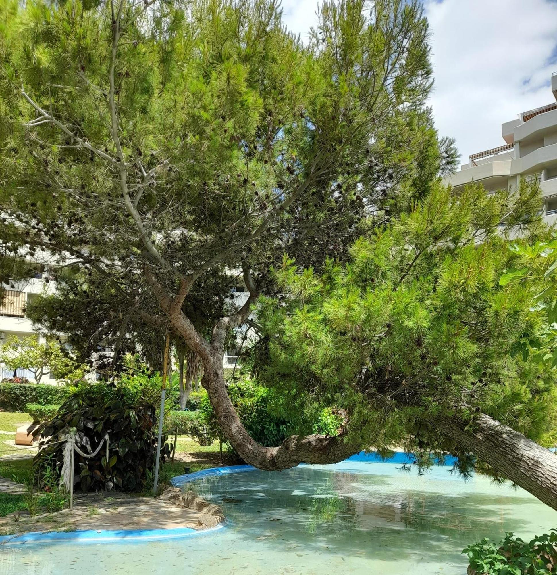 Benalbeach R&R Suite Benalmadena Exterior photo